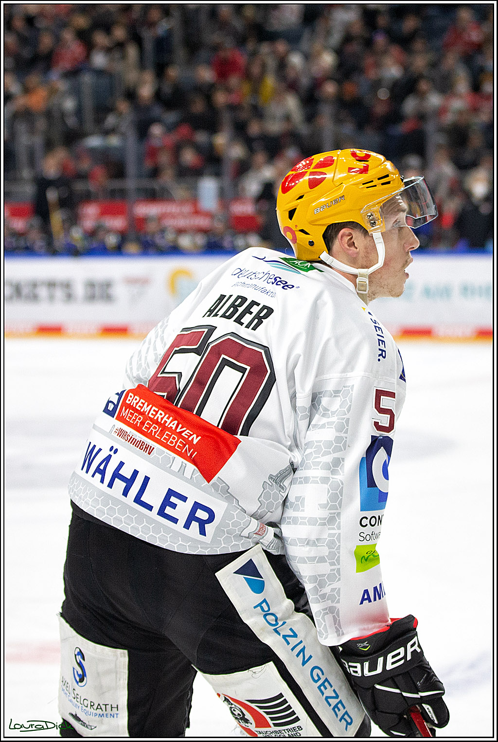 PENNY DEL; Koelner Haie- Fishtown Pinguins Bremerhaven; Koeln, 23.11.2021